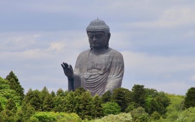 The Best of Japan