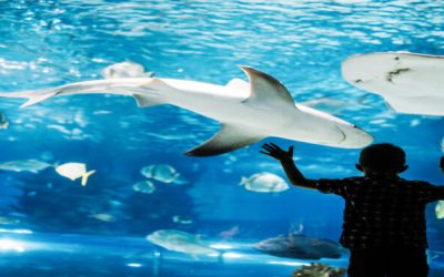 Sendai Aquarium