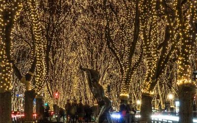 Sendai Illumination