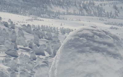 Hakkoda Snow Monster Tour