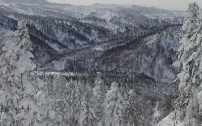 Hakkoda Snowmonster Snowshoe