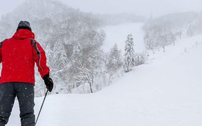 Resort Runs (Adult-Focused Ski & Snowboard Trips)